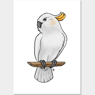 Bird - Citron Cockatoo - Crest Down Posters and Art